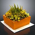 Healthy Green Succulent Plants In Orange Rectangular Planter With Mixed Foliage