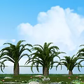 Palm Trees in Scenic Garden with Blue Sky White Clouds Green Grass and Small Flowers