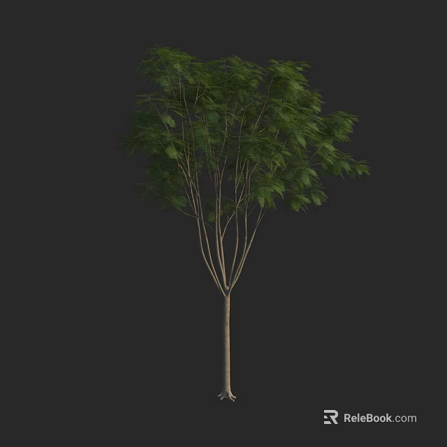 Tall Arbor With Lush Green Foliage And Multiple Branches On Dark Background 3d model 
