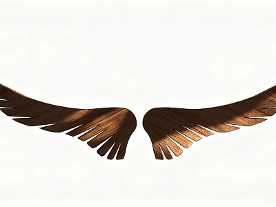 Symmetrical Brown Wooden Wings Decorative Ornament Set with White Background 3d model
