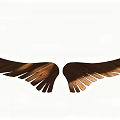 Symmetrical Brown Wooden Wings Decorative Ornament Set with White Background