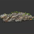 Natural Wooden Stone Decorative Art With Textured Surface And Green Moss Accents