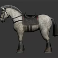 White Horse With Gray Mane Red Saddle And Bridle On Dark Background