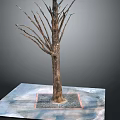 Bare Branched Leafless Tree With Thick Trunk Standing On Square Soil Base Over Light Platform
