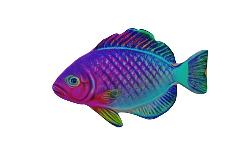 Fish Deep Sea Fish 3d model