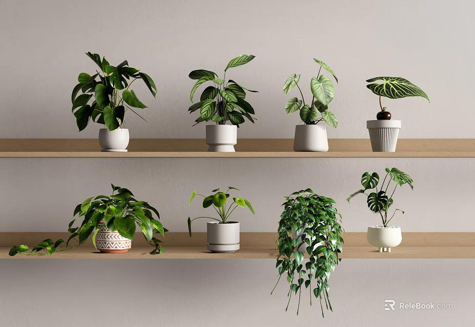 Various Green Leaf Potted Plants Arranged On Wooden Shelves With White Pots 3d model 