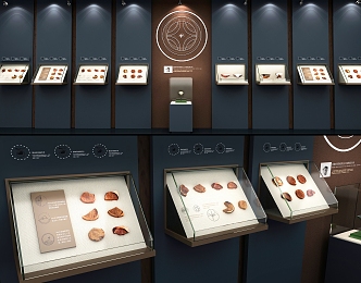 New Museum Display Cabinet Cultural Museum Site Porcelain Cultural Relics Ceramics Ancient Exhibition Hall Archaeological Excavation Exhibition Wall Temporary Exhibition Cultural Creation Cabinet 3d model