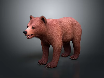 Baby Brown Bear with Standing Pose and Brown Fur on Gray Gradient Background 3d model