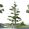 Artistic Garden Ornaments Design With Various Trees Stones Small Plants And Pathway