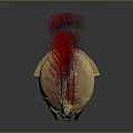 Ancient Warrior Helmet With Red Bird Plume And Golden Engraved Patterns