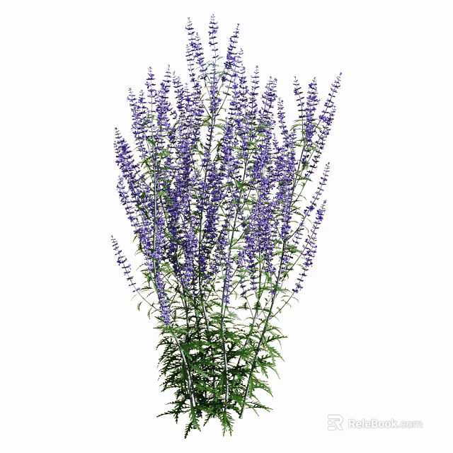 Beautiful Fresh Purple Lavender Bouquet With Green Stems And Lush Leaves 3d model 