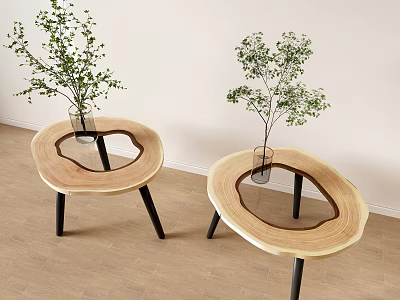 Wooden Coffee Tables With Circular Cutout Glass Insert And Black Legs Decorated With Green Plants 3d model