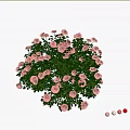 Artificial White Rose Decorative Ornament Set With Green Leaves For Home Decoration
