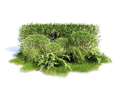 Lush Green Shrubs With Dense Foliage And Various Garden Plant Species 3d model