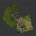 Bonsai Tree With Curved Trunk Green Foliage Small Stones Moss And Grass