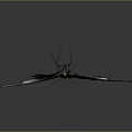 Detailed Dark Green Butterfly With White Spots Red Dots And Veined Wings On Gray Background