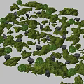 Planned Garden Landscape Design With Green Grass Bushes And Gray Stones