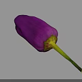 Vibrant Fresh Ripe Purple Eggplant With Green Stem On Gray Background