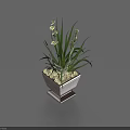 Potted Bonsai Plant in Brown Square Pot with Base Long Green Leaves Small White Flowers