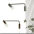 Modern Black And Gold Wall Lamps With Exposed Bulbs And Green Plant In Interior