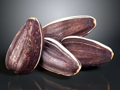 Dark Purple Sunflower Seeds With White Edges Arranged On Dark Background 3d model