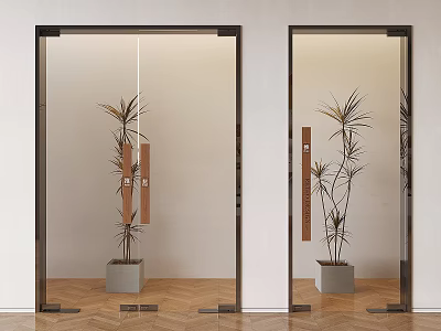 Modern Glass Double Doors With Metal Frame And Potted Plants On Wooden Floor 3d model
