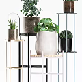 Stylish Potted Plants Display On Various Shelves With Different Pots And Green Leaf Varieties