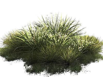 Lush Green Herbaceous Plants With Slender Leaves And Small White Flowers 3d model