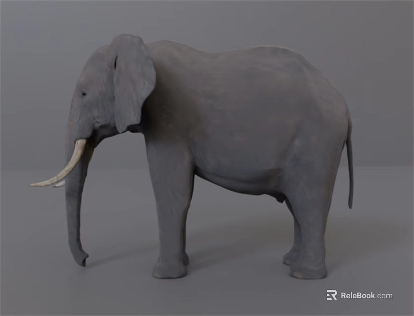 Gray Reptile Model With Ivory Like Teeth Standing On Gray Background 3d model 