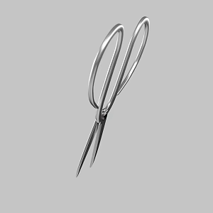 Scissors 3d model
