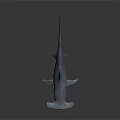 Lifelike Blue Shark Model With Smooth Glossy Surface In Dark Reflective Background 3d model