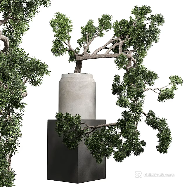 Artistic Bonsai Tree with Lush Green Foliage in Concrete Pot on Pedestal 3d model 