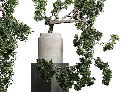 Artistic Bonsai Tree with Lush Green Foliage in Concrete Pot on Pedestal 3d model