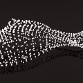 Fish Shaped Decorative Pendant Composed of White Dots on Black Background
