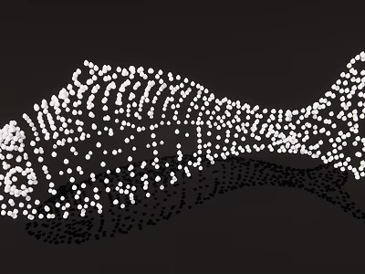 Fish Shaped Decorative Pendant Composed of White Dots on Black Background 3d model