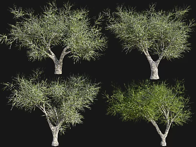 Multiple Arbor Trees With Various Crown Shapes And Green Foliage 3d model