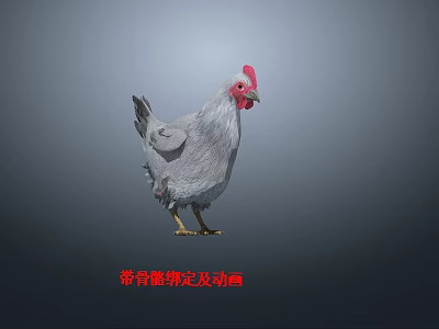 Realistic 3D Chicken Model With Skeleton Rigging And Animation Features 3d model