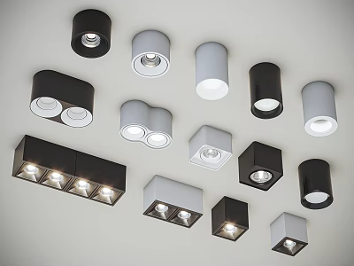 Modern Downlight Spotlight Combination Downlight Spotlight 3d model