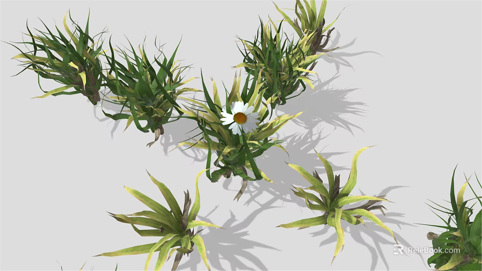 Green Leafy Plant Clusters With White Daisy Flower In Center 3d model 