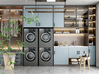 Modern Laundry Room Design With Washing Machines Storage Cabinets And Plants 3d model