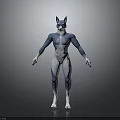 Anthropomorphic Wolf Character With Blue And White Fur Standing In Muscular Stance