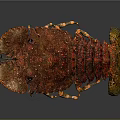 Red Spotted Lobster Fresh Aquatic Animal With Detailed Shell Texture And Claws