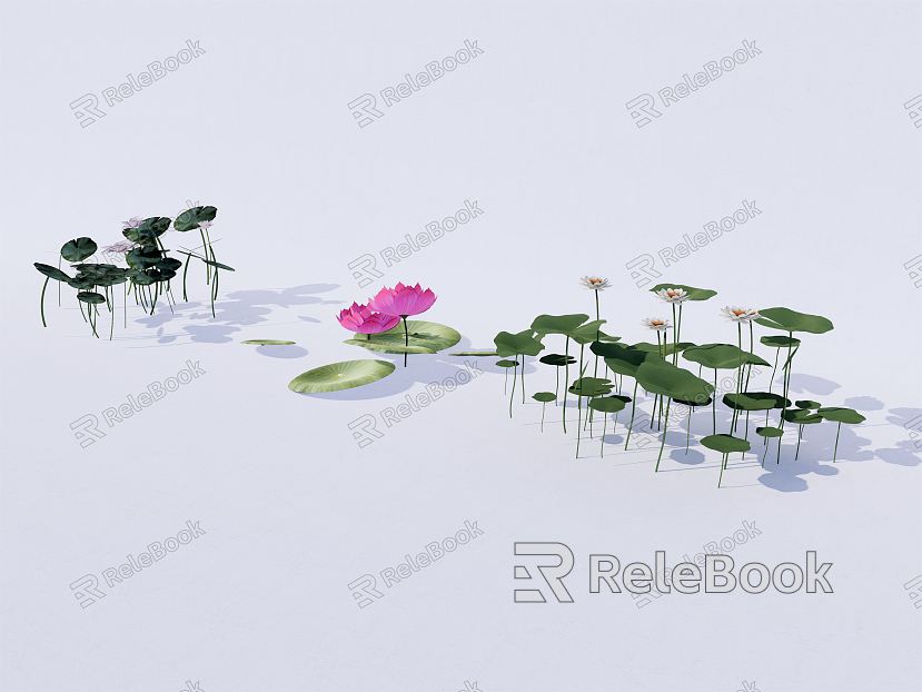 Modern lotus water lily plant model