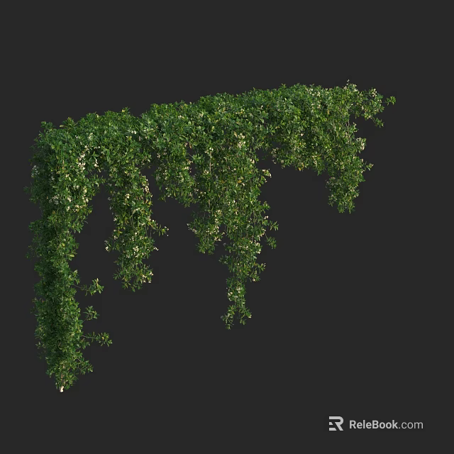 Lush Arched Green Vines With Dense Hanging Leaves And Fresh Foliage 3d model 