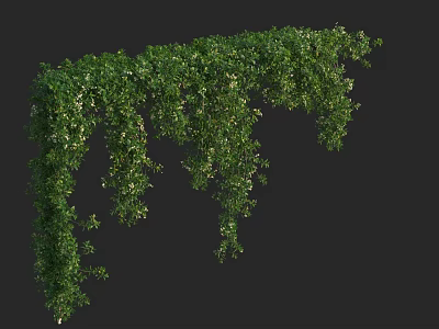 Lush Arched Green Vines With Dense Hanging Leaves And Fresh Foliage 3d model
