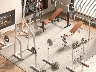Complete Home Fitness Sports Equipment Set With Barbell Racks Dumbbells And Weight Benches 3d model