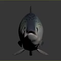Salmon Fish Displayed With Spotted Silver Body On Dark Reflective Background 3d model