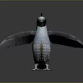 Flying Animal Bird With Spread Wings Blue Feathers And Black White Head