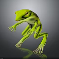Green Frog Standing With Yellow Eyes And Stretched Limbs On Dark Surface With Reflection