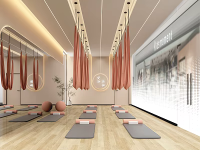 Spacious Yoga Studio Interior With Aerial Yoga Hammocks Yoga Mats Mirrors And Wooden Floors 3d model
